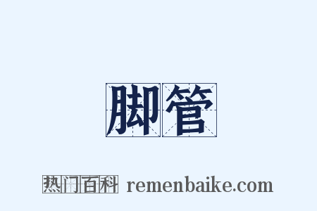 脚管是什么意思的图片